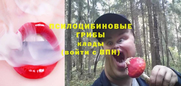 соль курить ск Арсеньев